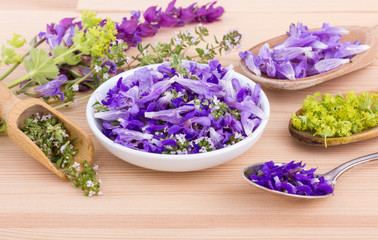  violet, edible flowers / flowers of lavender, thyme and lady's mantle