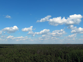 White clouds in blue skies over the green horizon of the forest