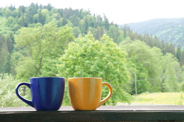 A beautiful cup with hot tea stands in front of a beautiful scenery