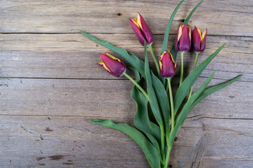 Red tulips on an antique wooden background. Copy space.