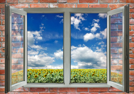 open window on sunflowers background