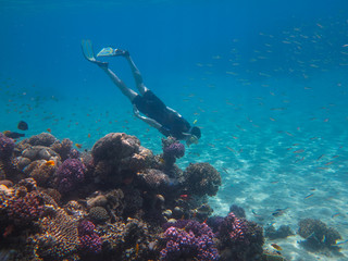 Fototapeta na wymiar Free Diver in the Reef