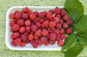 Red berry raspberries