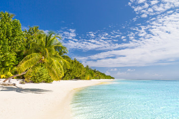 Summer holiday and vacation design. Inspirational tropical beach, palm trees and white sand....