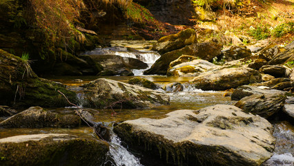 A forest stream during autumn