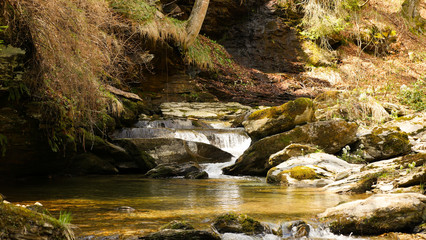 Mountain Stream Sunlight