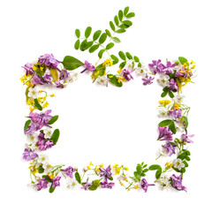 Frame made of different wildflowers in the form of a rectangle on a white background..