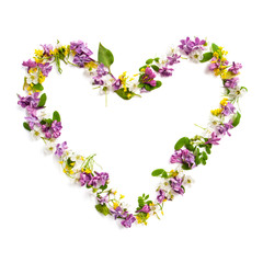 Frame made of various wildflowers in the shape of a heart on a white background..