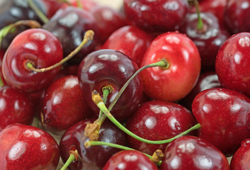 Süßkirschen, Vogelkirschen, Prunus avium