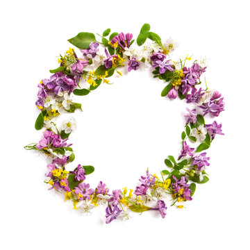 Frame from a variety of wild flowers in the shape of a circle on a white background..