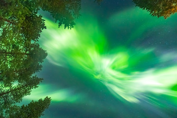 Beautiful Northern lights over head