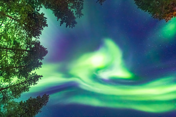 Beautiful Northern lights over head