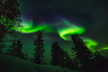 Beautiful Northern lights over head