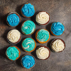 Cupcakes with turquoise and white buttercream frosting on brown background