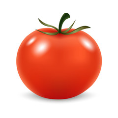 Realistic red tomato on white background. Vector
