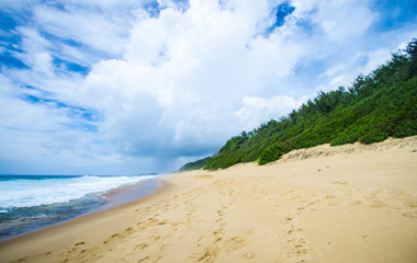 Tropical beach in Mozambique coast