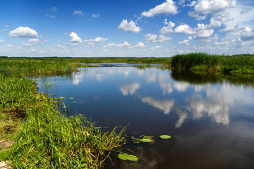 Narwiański Park Narodowy © podlaski49