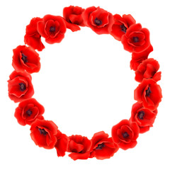 Wreath of Red Poppies, floral round frame, vector illustration