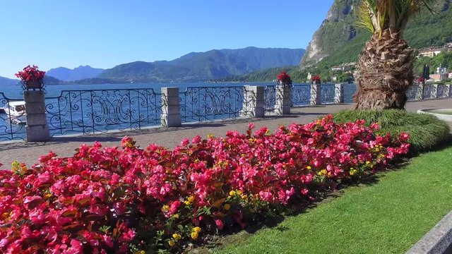 Village of Menaggio - Flowers and flowerbeds on lakeside