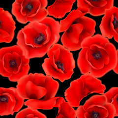 Seamless pattern with red poppy flowers