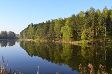 Fototapeta na wymiar Forest is reflected in the calm blue water of the forest lake. Early morning.