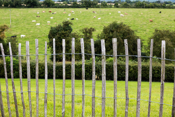 Wooden fence, Ireland