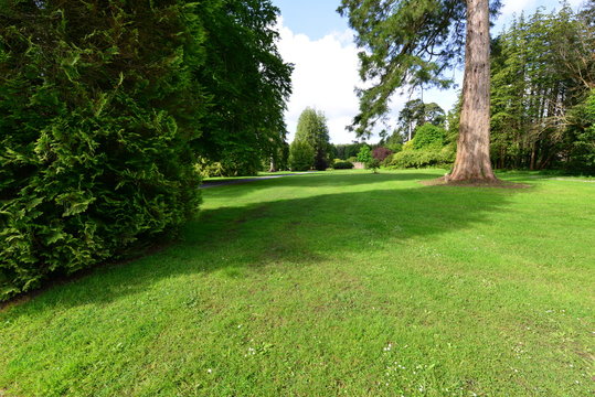 An Irish country estate