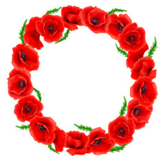 Wreath of Red Poppies, floral round frame, vector illustration
