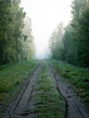 Obraz premium empty road in the countryside in summer