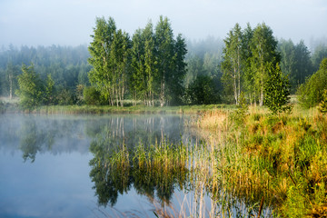 Fototapeta na wymiar reflections in the lake water in the morning mist