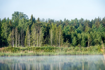 Obraz premium reflections in the lake water in the morning mist