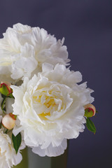 peony flowers