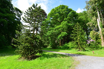The gardens at Woodstock in Ireland
