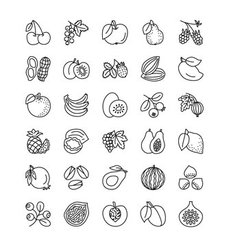 Vector line icon collection. Fruits, berries and nuts. Healthy vegetarian food. Apple, cherry, pineapple, grape, hazelnut, peanut; strawberry, raspberry.