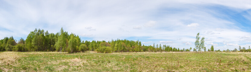 Fototapeta na wymiar Field with forest edge in summer