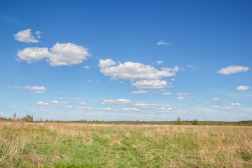 Obraz premium Nature in the middle strip of Russia