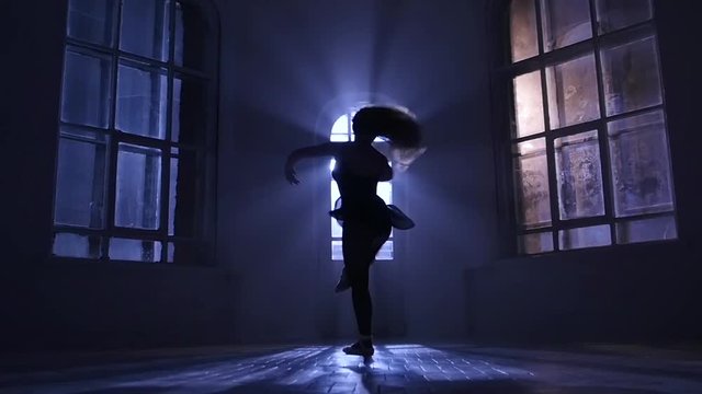 Pirouettes performed by graceful woman in moonlight, silhouette. Slow motion