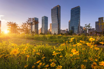 Traditional and modern architecture of seoul city in sunset, central park in songdo International...