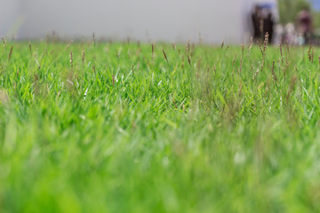 王宮・ワットプラケオ・エメラルド寺院