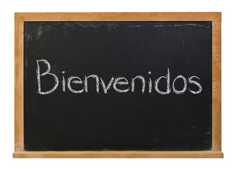 Obraz premium Bienvenidos written in white chalk on a black chalkboard isolated on white
