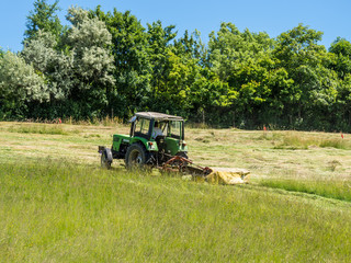 Trator beim Rasenm&auml;hen