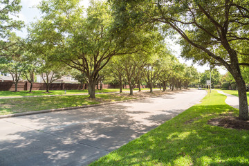 Side view of asphalt road, street in suburban residential area with lot of green trees in Katy, Texas, US. America is an excellent green and clean country. Environmental and transportation background. © trongnguyen