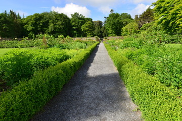 Fototapeta na wymiar The gardens at Woodstock in Ireland 