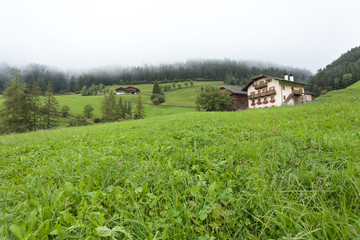 Fototapeta na wymiar Traditional houses in a cloudy mornig surrounded by green pasture next to the little town of St. Magdalena in Val di Funes, no people around