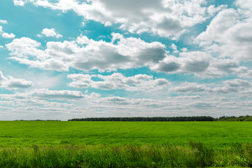 Fototapeta na wymiar White clouds on blue sky over the green field.