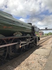 Naklejka premium Latający Szkot