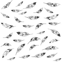 Fototapeta premium Feather Pattern