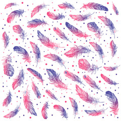 Fototapeta premium Feather Pattern
