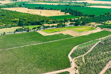 Colchagua Valley