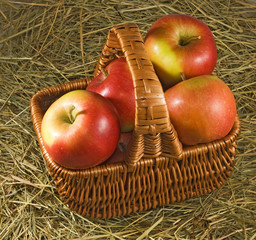 Isolated image of ripe apples in the basket closeup